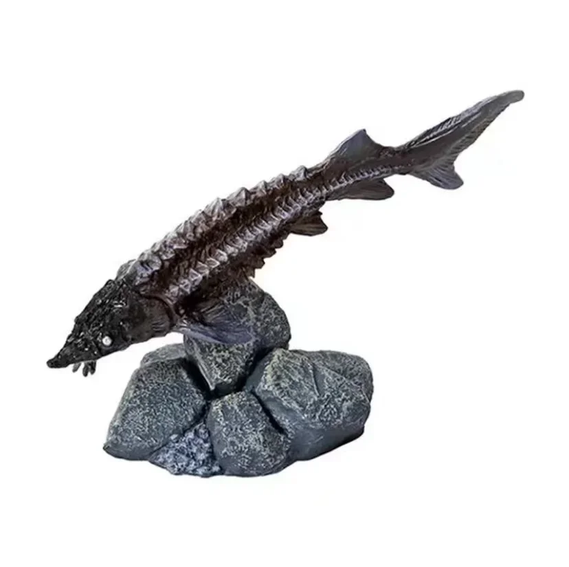 Alte Fische Meeresbewohner Gacha Maßstab Modell Biologische Simulation Kognitives Modell Action Figur Spielzeug Neu