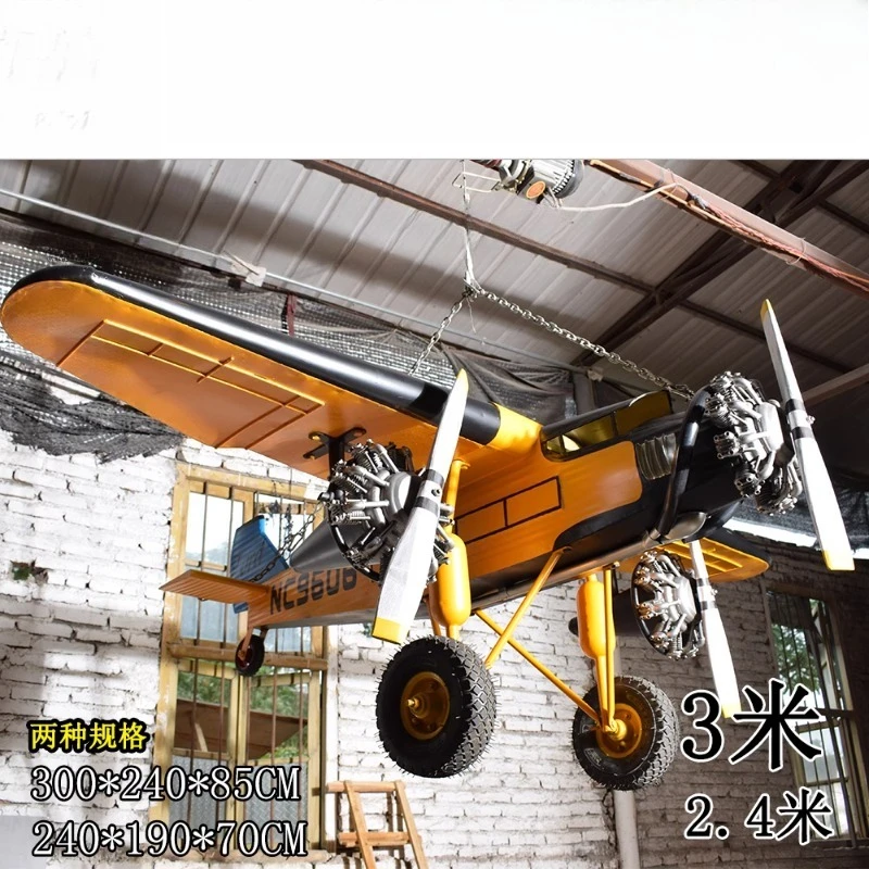 

Retro tin plane model