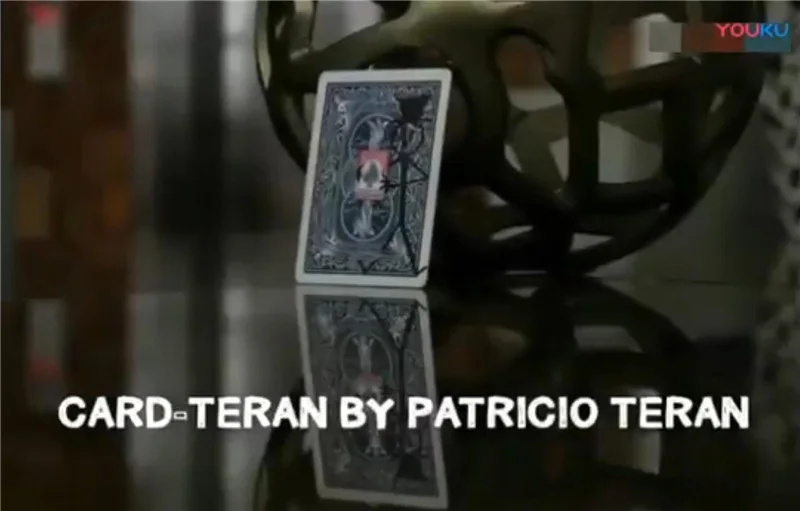 

Card-Teran Magic Tricks Appearing Prediction Card Magia Magician Close Up Illusions Gimmick Street Props Chosen Card