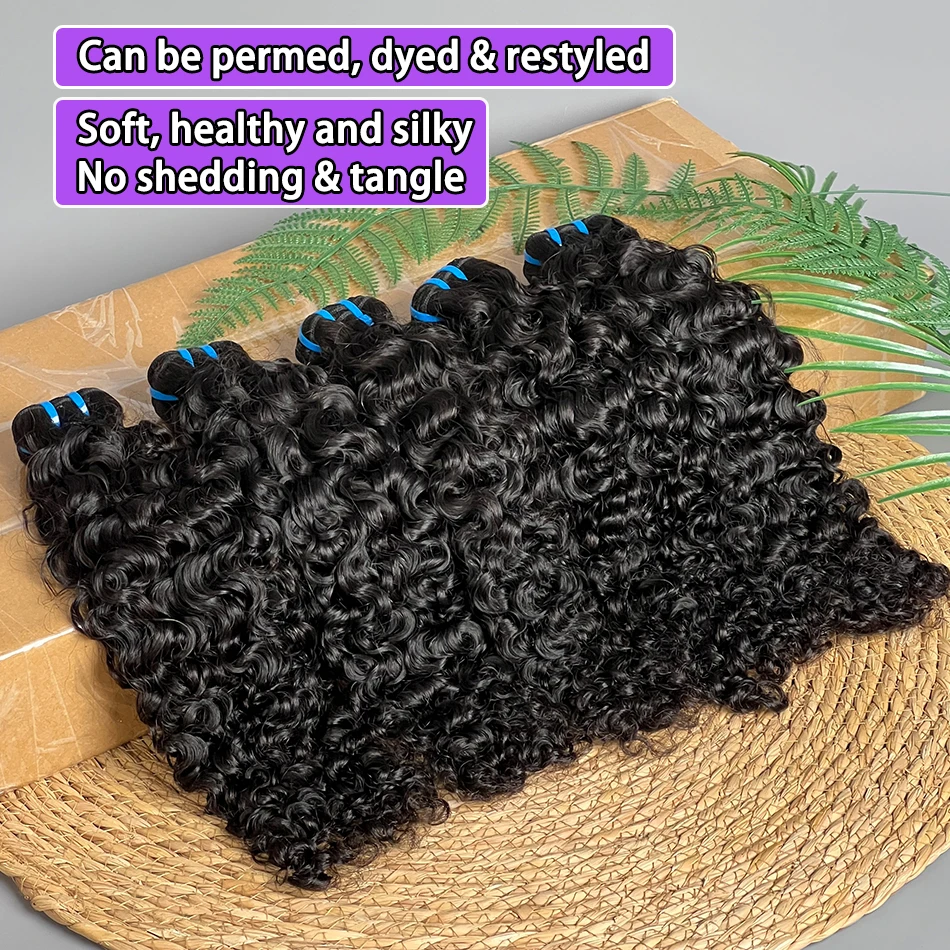 Fasci di capelli umani ricci birmani 18A # 1B Colore naturale 100% capelli vergini grezzi 100g Ricci rimbalzanti 1 2 3 4 Bundles Estensioni del tessuto