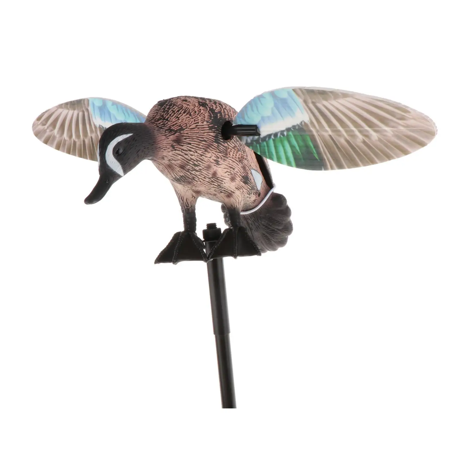 Imagem -02 - Teal Duck Decoy Acessórios Elétrica Caça Pilotos Atração Drake com 37 Suporte Stand Rod ao ar Livre