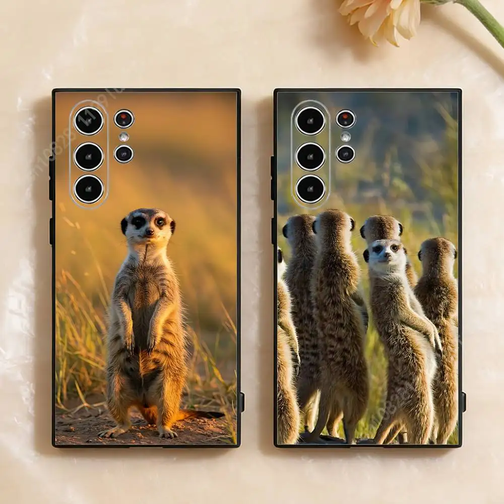 

Funny Standing Meerkats Phone Case for Samsung Galaxy S21 22 Ultra Plus S23 S24 FE Lite S25 26 30 Fundas Matte