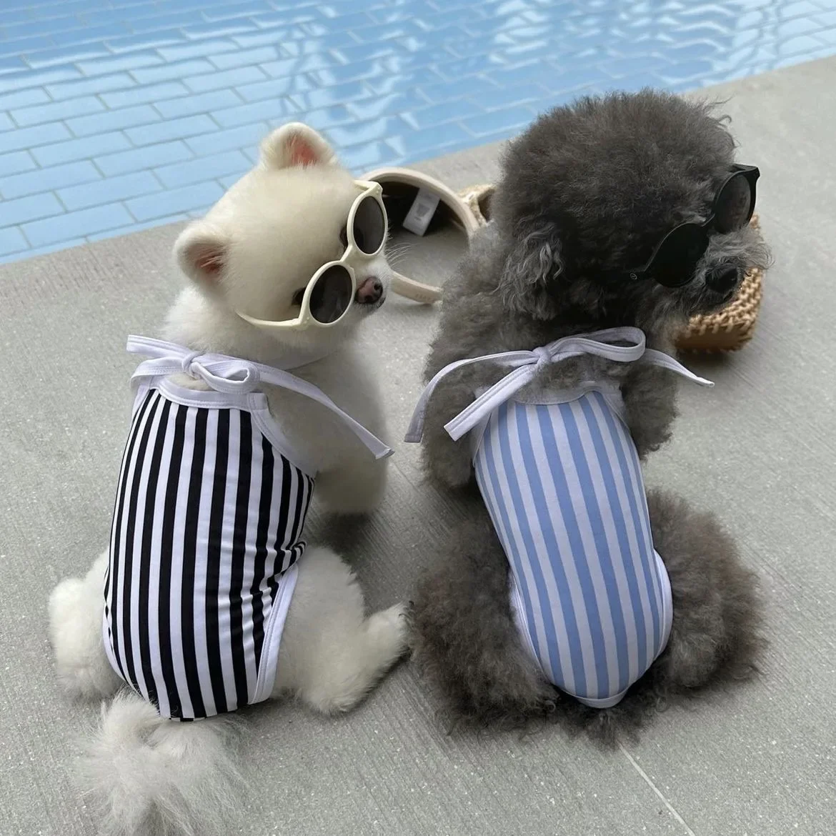 INS New Pet Swimwear Pet One Piece Set Bikini Beach Dog Clothes Stripe Waistband Sexy Bikini Puppy Clothes Fashion Design