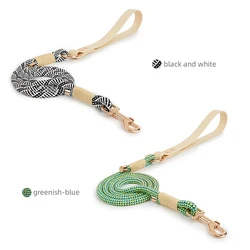 Big And Small Dog Leashes Solid Fashion Nylon Rope Durable PVC Walking Dogs And Cats Pet Collar Lead Rope New Style 2024