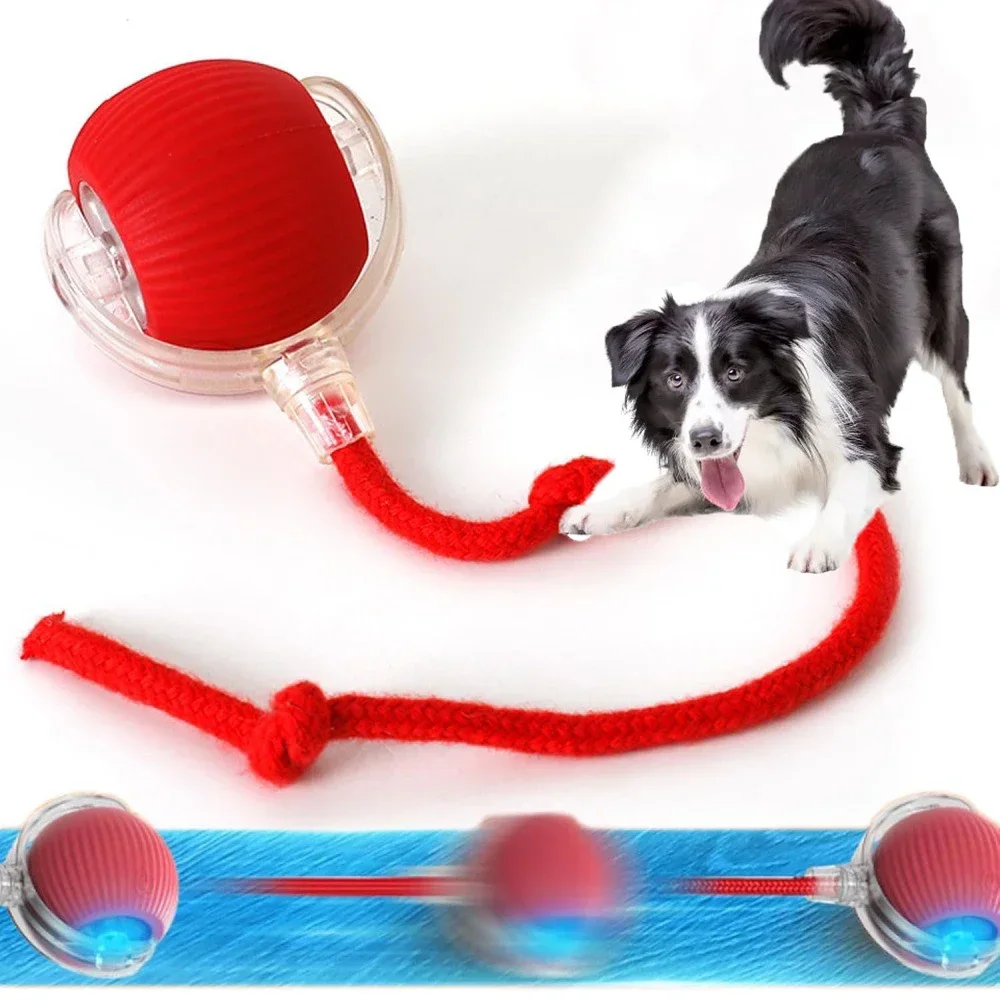 

Hot Electric Dog Ball Toys Automatic Rolling Ball Rechargeable Smart Pet Interactive Plush Toy Dog Cat Training Imitate Mouse