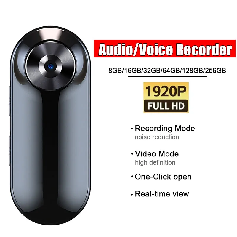 Portable Voice Reco…
