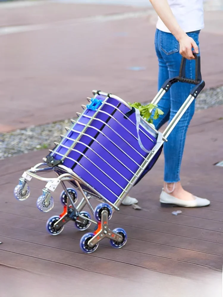 carrito-de-compras-portatil-de-aleacion-de-aluminio-con-asa-para-personas-mayores-carrito-plegable-pequeno-para-comprar-verduras