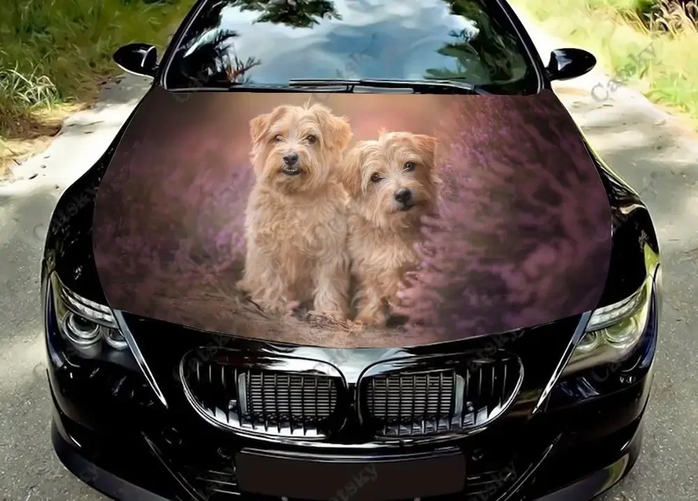 Norfolk Terrier animal Car Hood Decal Self-Adhesive Paint Suitable for SUV Wrap Truck Graphic Car Engine Vinyl Sticker