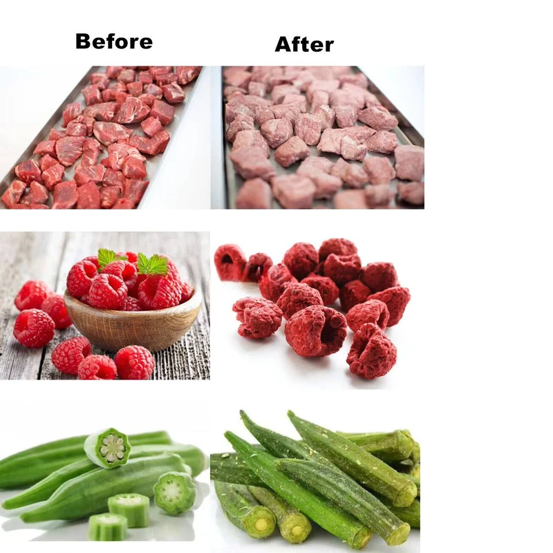50 100 200/ 300Kg / Batch Commercial Industrial Honey Coffee Milk Liquid Freeze Dryer Freeze-Drying Equipment