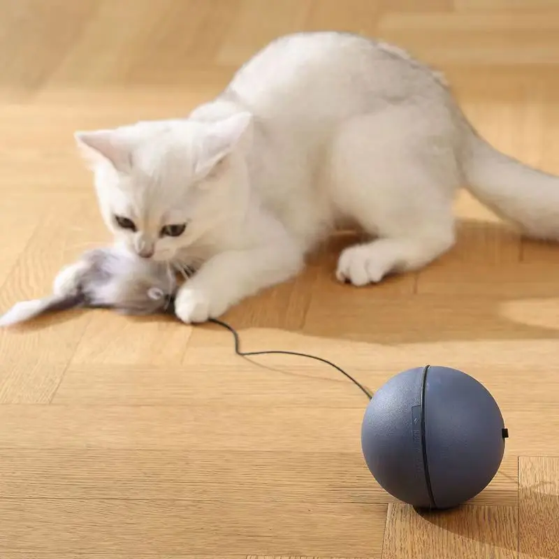 

Electric Pet Cat Toy Automatic Rolling Function Smart Dog Ball with Detachable Tail Interactive Play Hunting Mouse Plush Toy