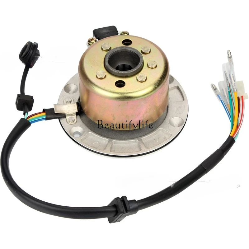 

Motorcycle Parts, Magneto Ignition Coil Rotor Magnetic Cylinder Full Set