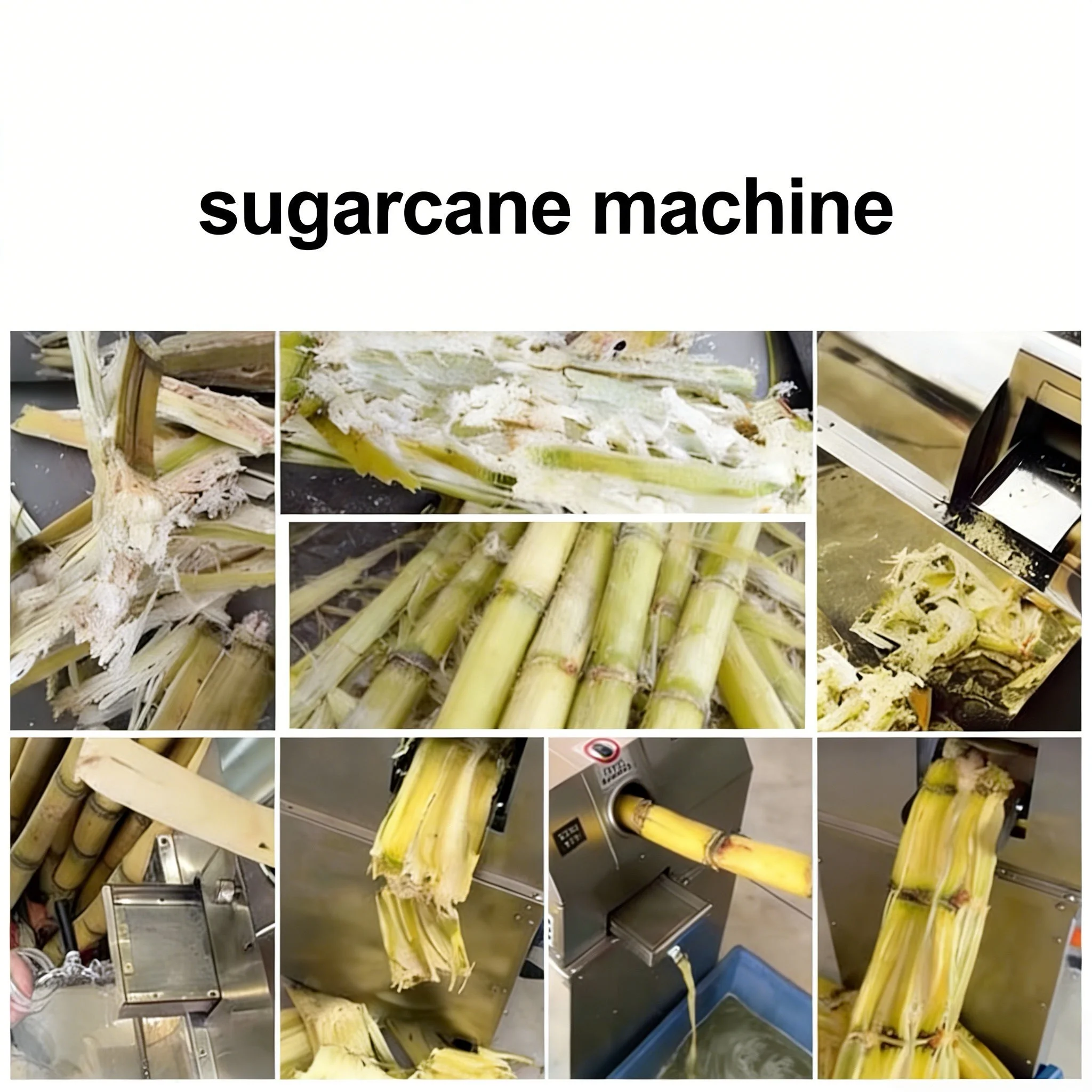 Commercial Vertical Sugarcane Juicer Machine Stainless Steel High Juice Yield Sugar Cane Juice Extractor For Street Vending