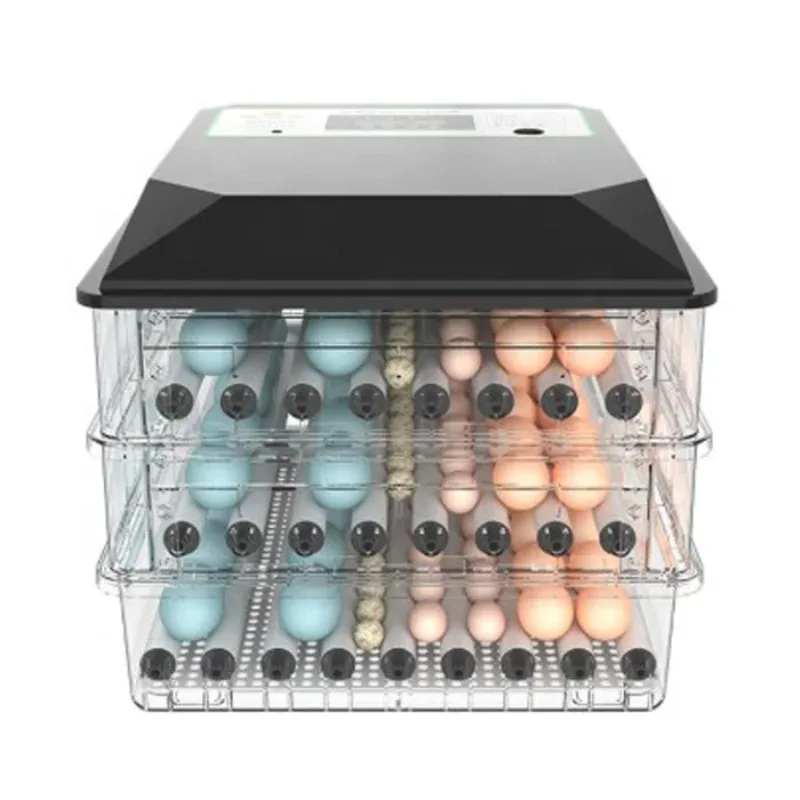 

Popular Small Egg Incubator Portable Family Use Poultry Mini in European and USA