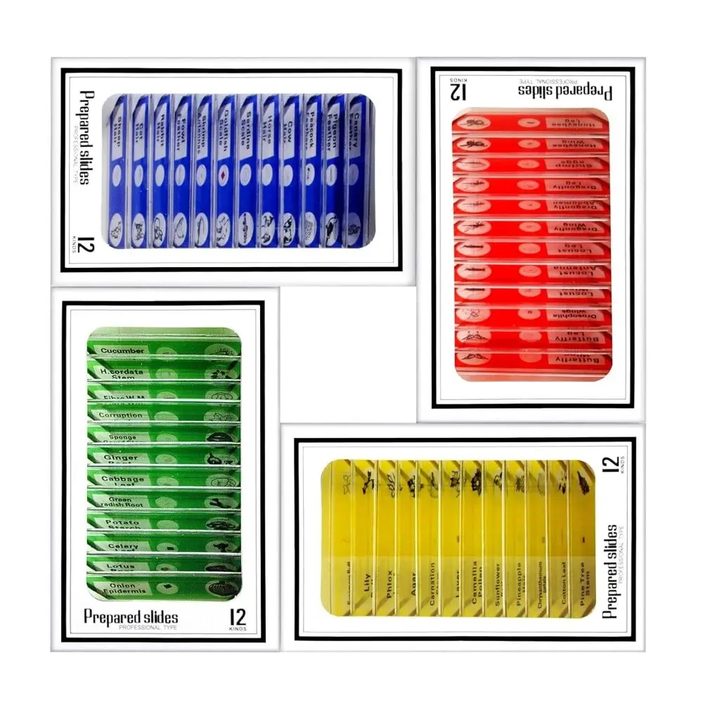 Microscope Slides for Kid Plastic Animals Insects Plants Flowers Sample Specimens for Homeschooling Biology Science Programs