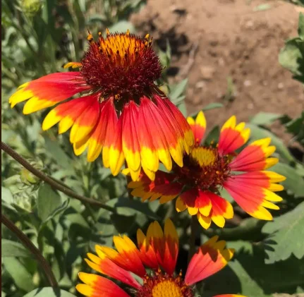 Intelligent Surveillance Camera Auto Tracking Three Screen Three Lens 12MP HD WIFI IP Camera IP66 Waterproof CCTV Security Cam