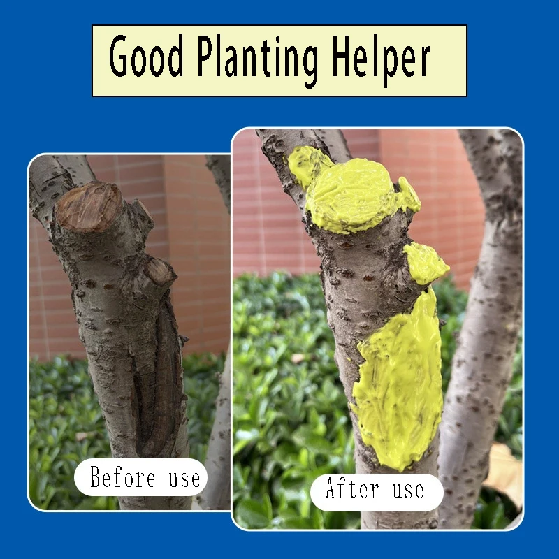 تطبيق عامل شفاء الجروح النباتية كريم شفاء شتلات شجرة الفاكهة #4