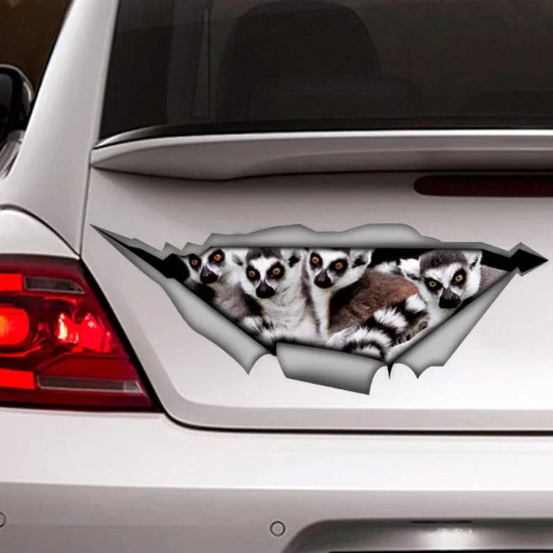 Funny Lemurs decal, car decal, Vinyl decal, car decoration, lemurs sticker, animals decal