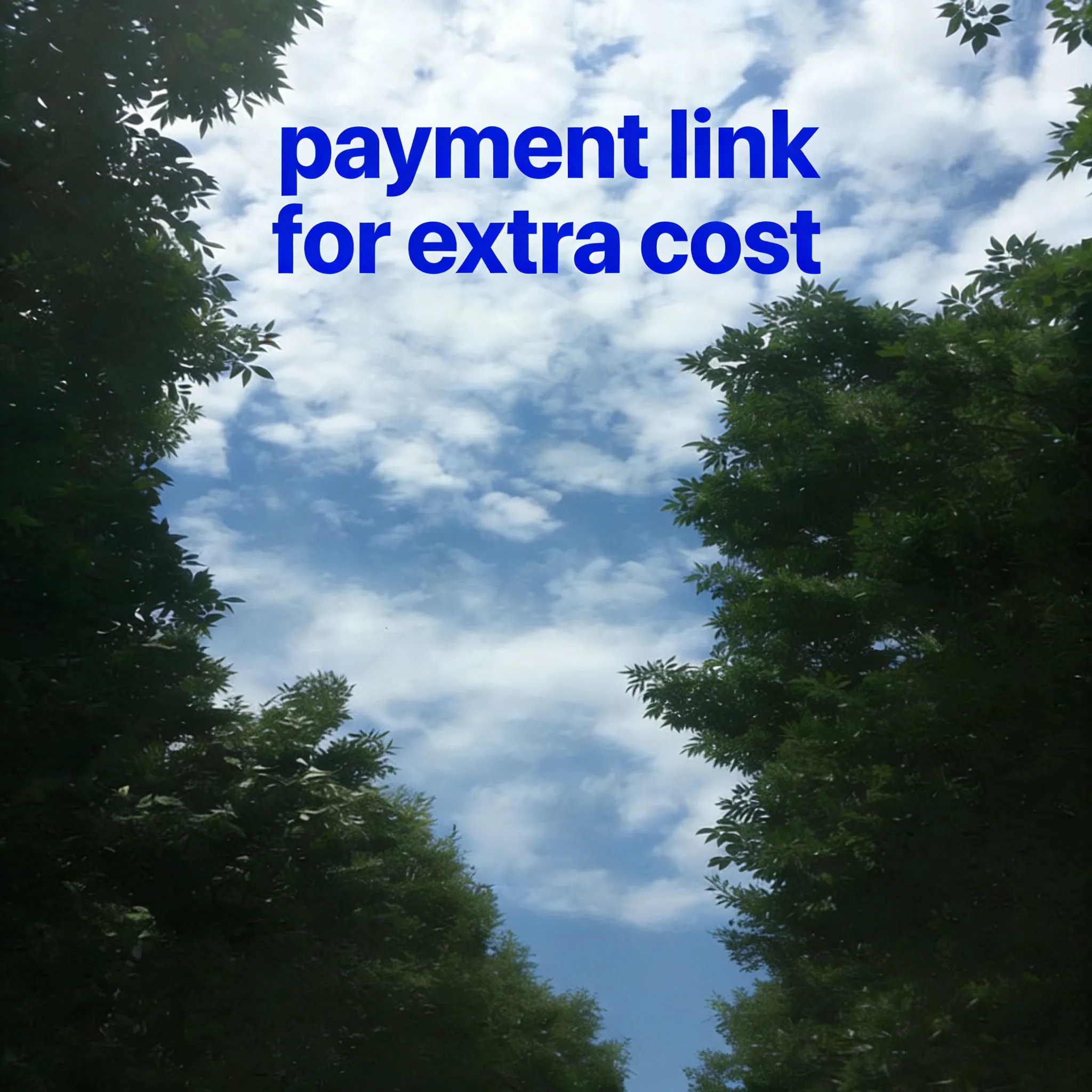 

payment link for extra cost