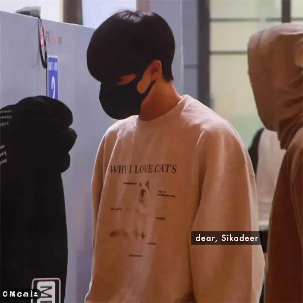 خريف 2025 هوديس للزوجين مصمم كوري ليزا لي هاراجوكو كسول كات طباعة قطن رقبة مستديرة كم كامل نمط آخر من الصين #3