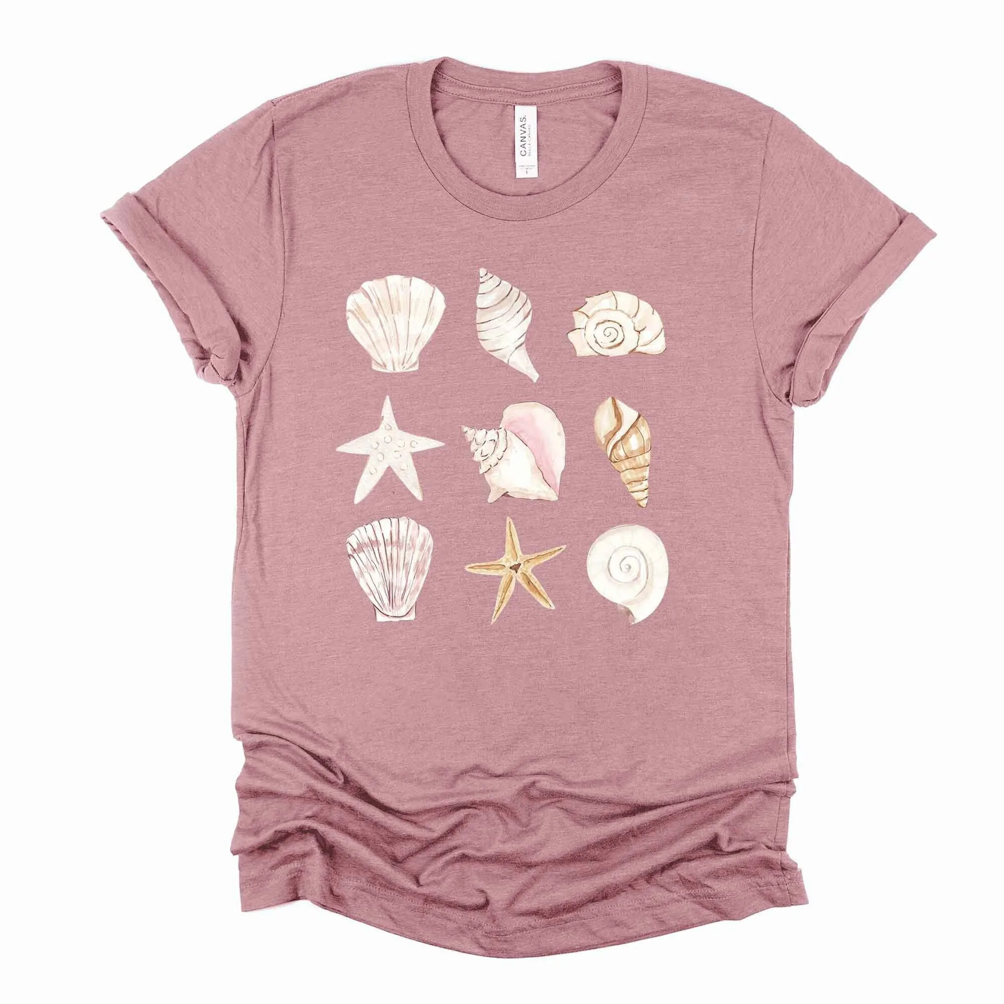 Beach And Vacation T Shirt Pretty Shells In A Row Seashells Design On Premium Unisex 3 Color Choices 3X 4X Plus Sizes