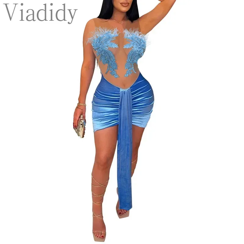 فستان نسائي قصير مثير بدون أكمام ورقبة دائرية بقماش شفاف ومطرز مخملي مكشكش