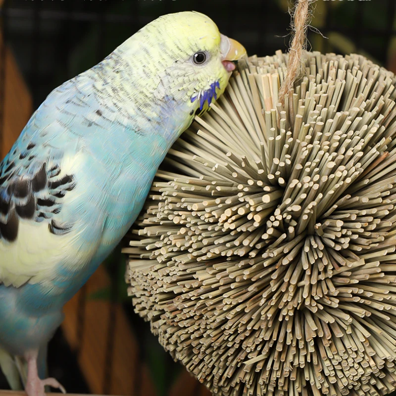 Thumbnail 3 - #29 Trending Hanging Bird Chew Toys Right Now