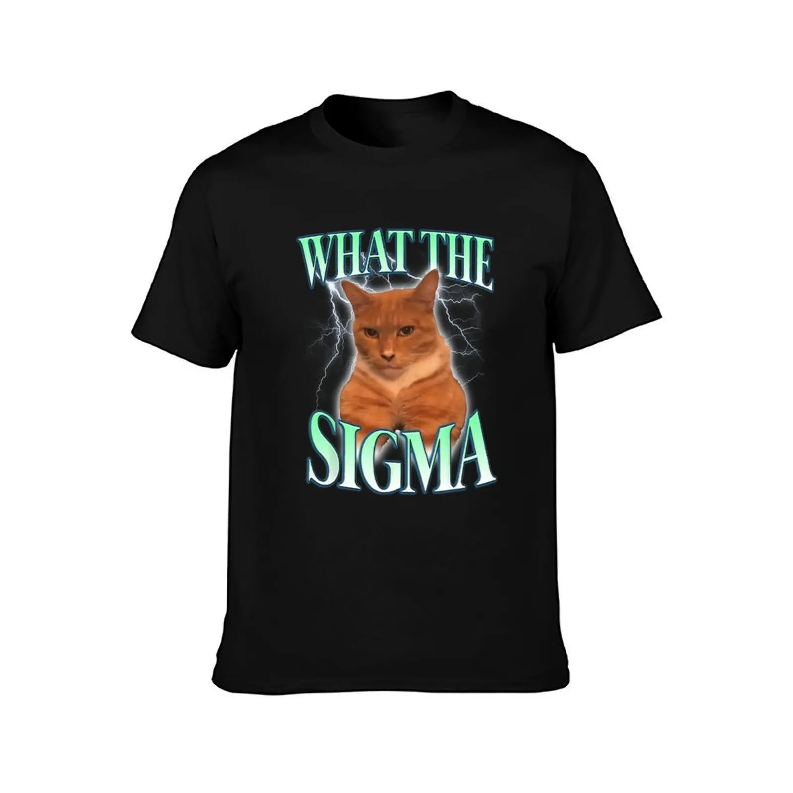 What The Sigma For Cat Lovers, Funny Cat Meme Gift T-Shirt Festive Simple T-Shirt