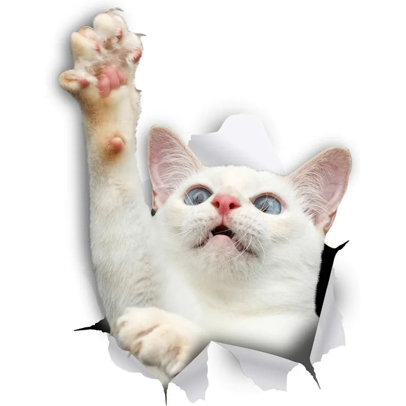 

Winston & Bear Белый короткошерстный кот Наклейки на стены Blue-Eyed Белый кот 3D наклейки наклейки для стен, автомобилей 15 см ПВХ KK