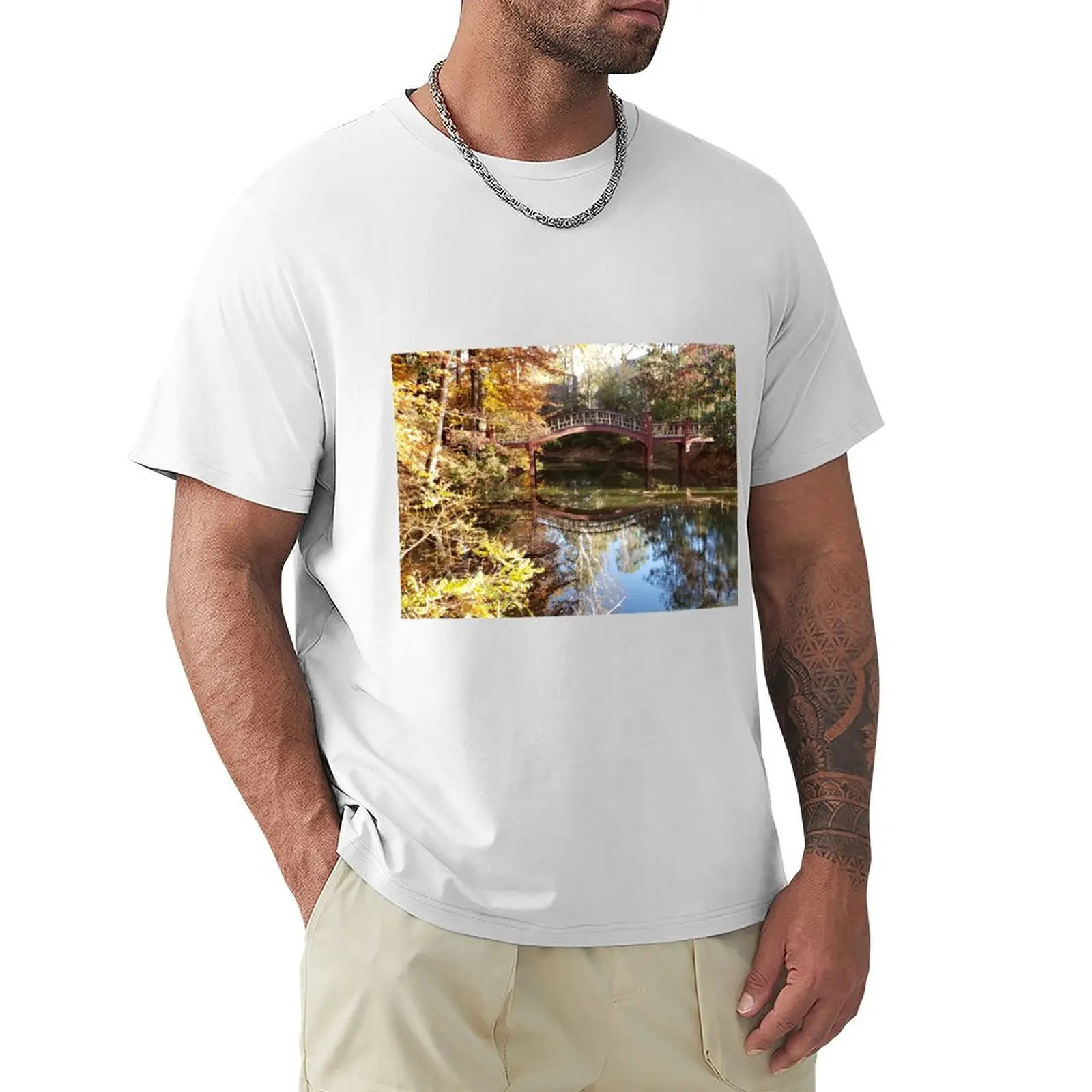 Crim Dell bridge in the Fall at William and Mary in Williamsburg, VA T-shirt funnys funny t shirts for men