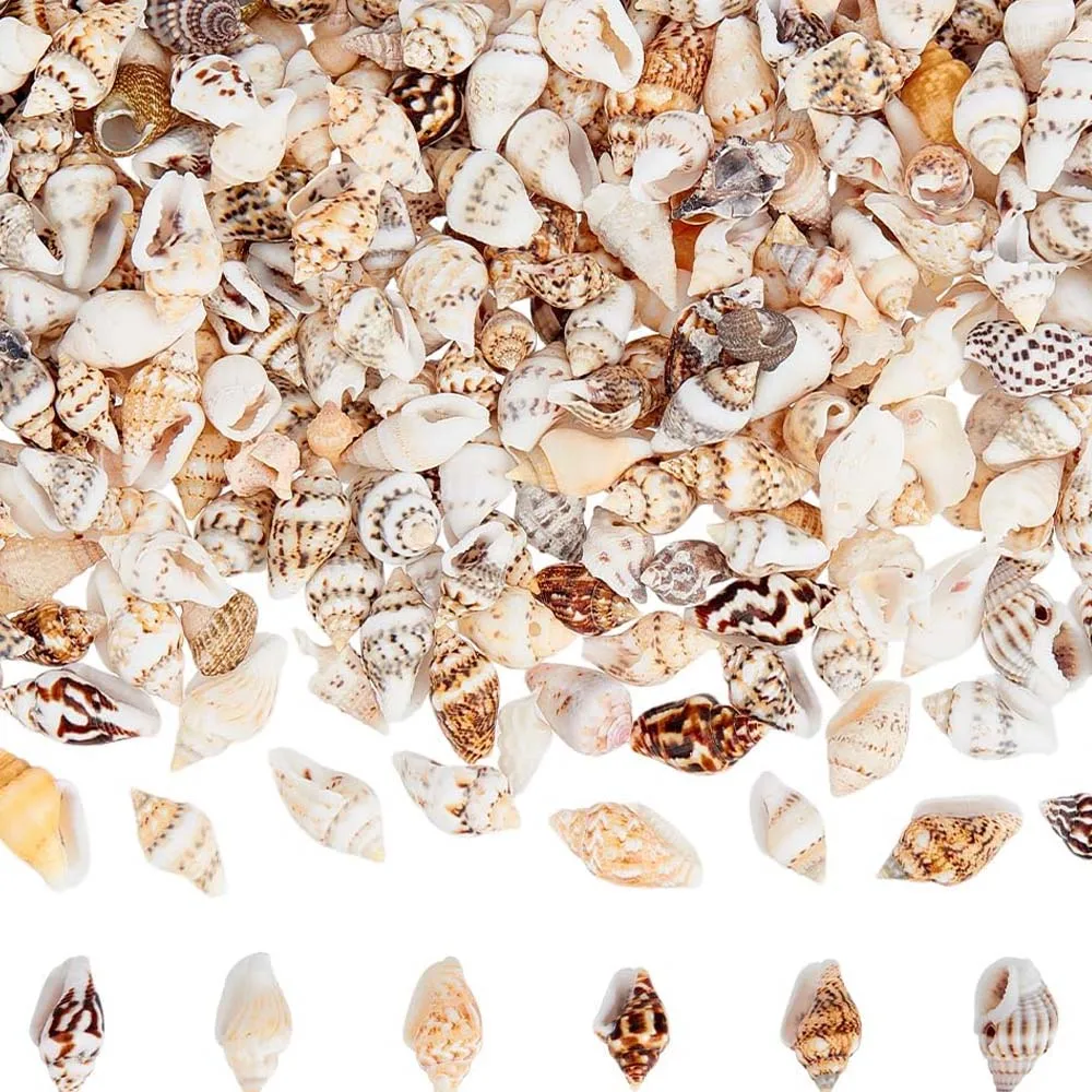 Tiny Sea Shells Tiny Shells Miniature Shell Seashells Ocean Spiral Seashells for Resin Crafting Candle Home 20g about 100pcs