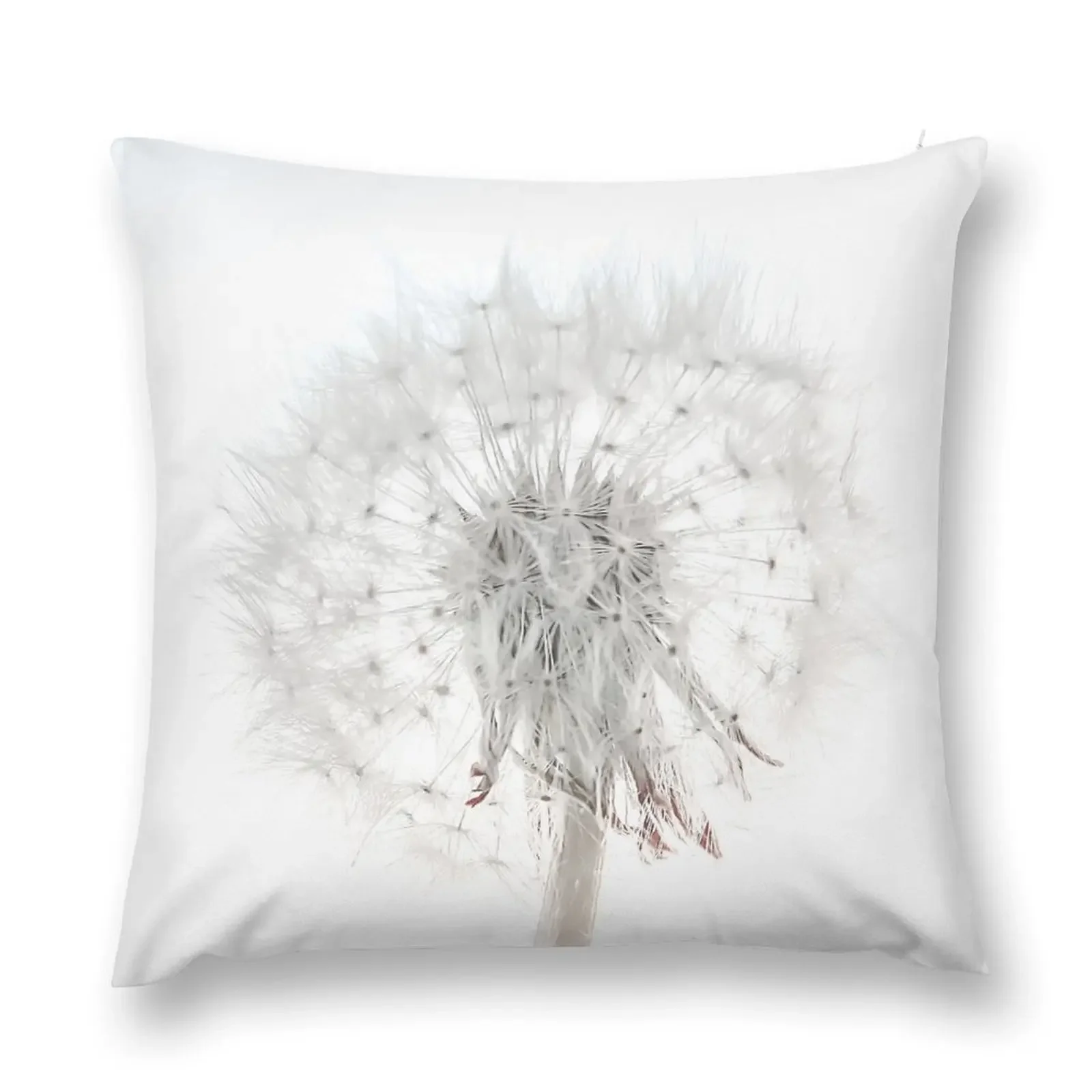 

Dandelion on a white background Throw Pillow Sofa Covers Covers For Sofas Cushions Home Decor pillow