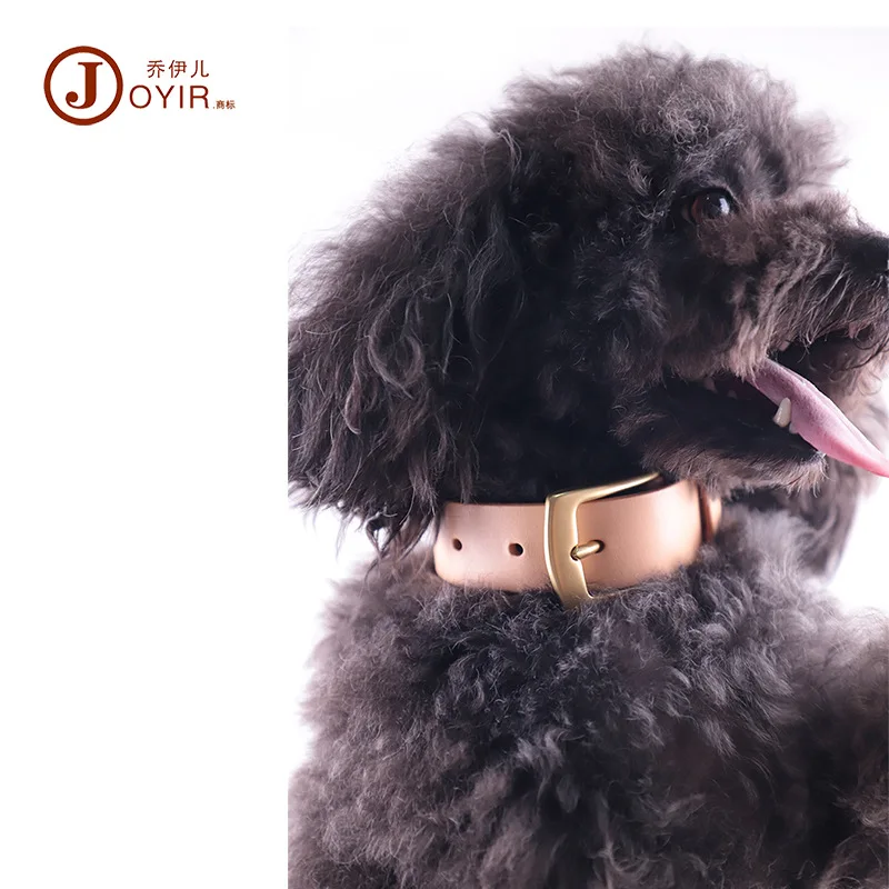 Skeleton-Skin Pet Products First Layer Cowhide Dog Chain Dog Collar Leather Adjustable Cat Collar Dog Collar