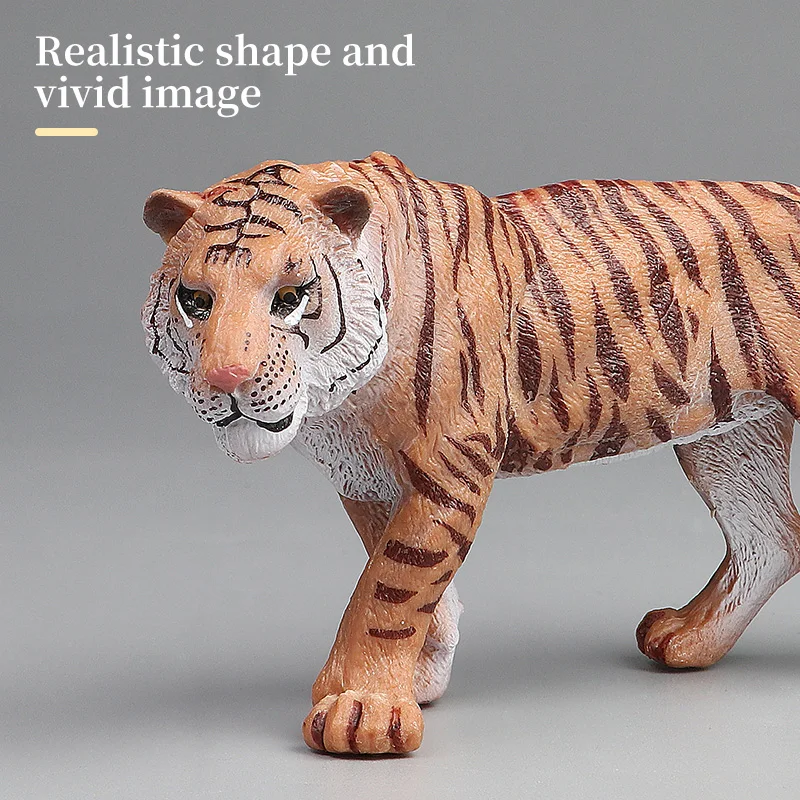 ชุดจำลองสัตว์ป่าโลกธรรมชาติ - โมเดลเสือสำหรับการศึกษา ของเล่นสะสมสำหรับเด็ก