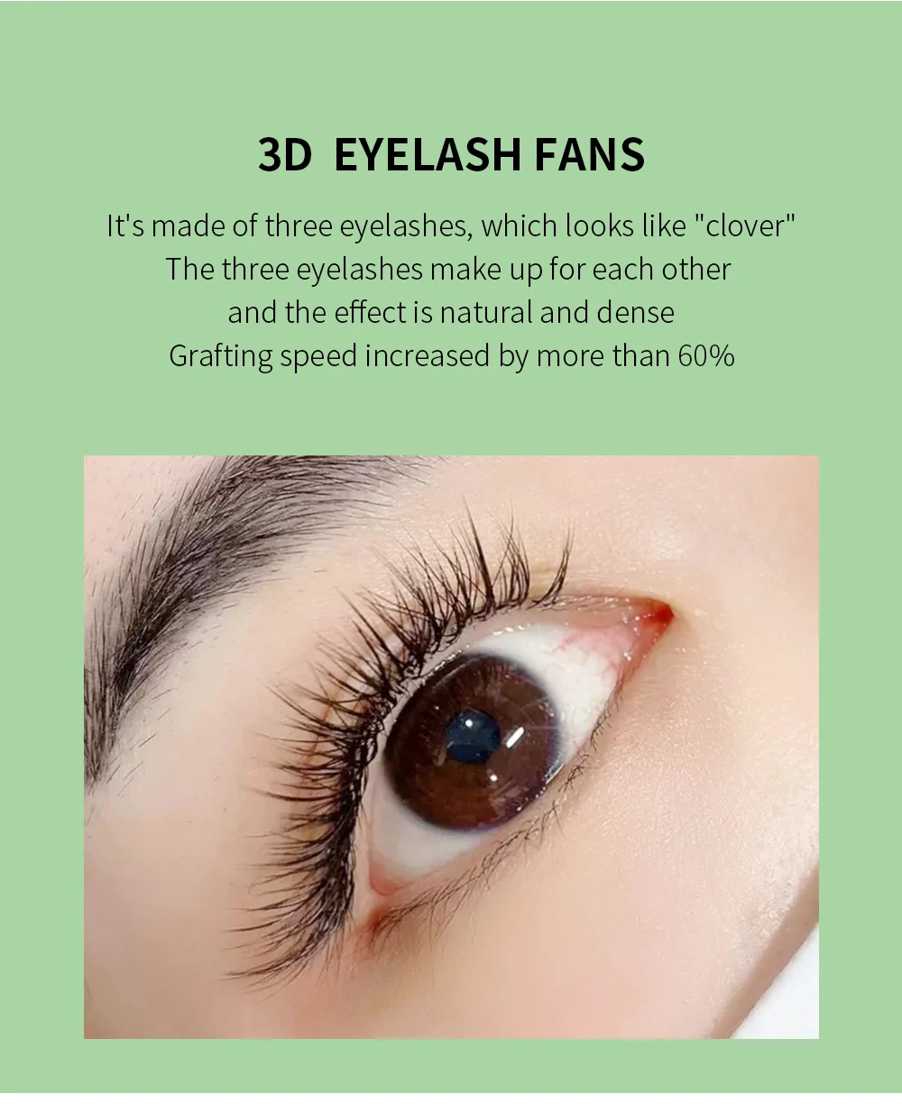 GLAMLASH 3D4D5D6D7D8D W Wimpern C/D/L/LU/M Vorgefertigte Volumenfächer Braune Wimpernverlängerungen Natürlich weich – Detail 12