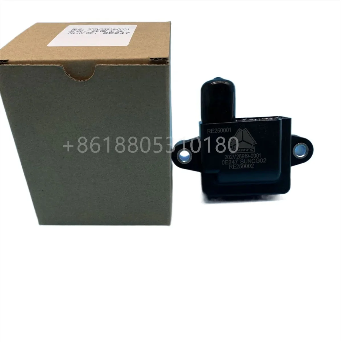 Zündspule für SITRAK MAN CNG-Motor 202V25919-0001 Kompatibel mit Verschiedenen Modellen - Zündmodul für Automobilanwendungen – Detail 2