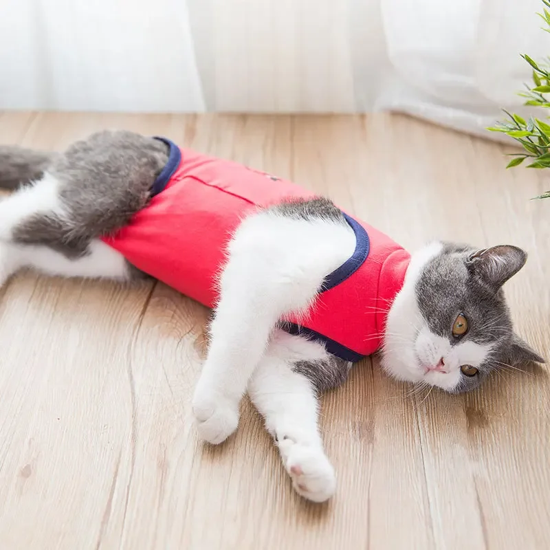Pet Pet Cat Dog Clothes Post-Operation Clothes Pet Surgical Gown Coat Sterilization Weaning Anti-licking Pet Cat Products Supplies - Aliexpress Deal