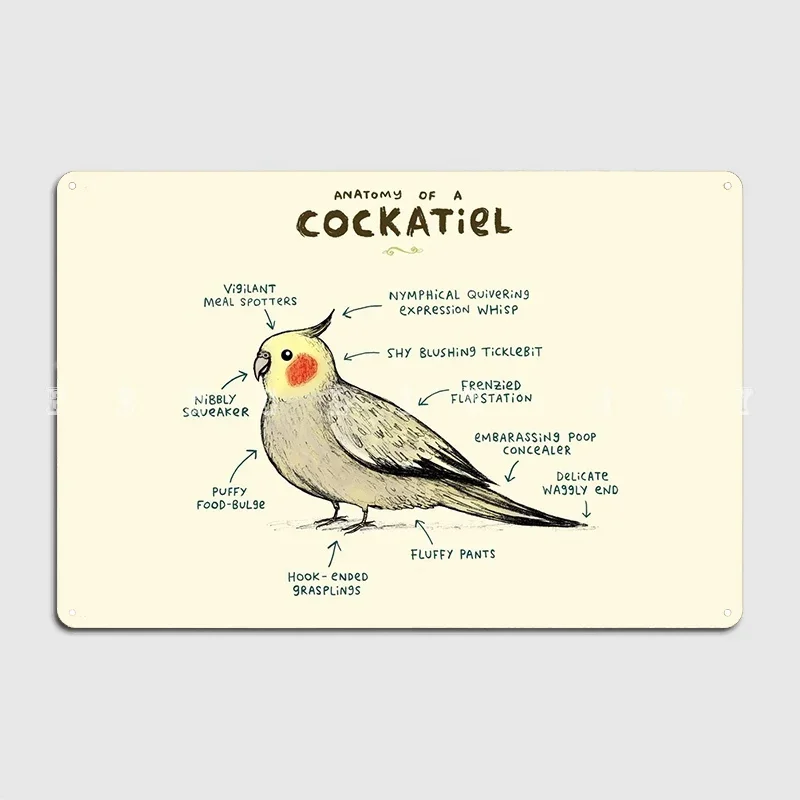 Anatomy Of A Cockatiel Poster Metal Plaque Cinema Garage Plaques Home Classic Tin Sign Posters