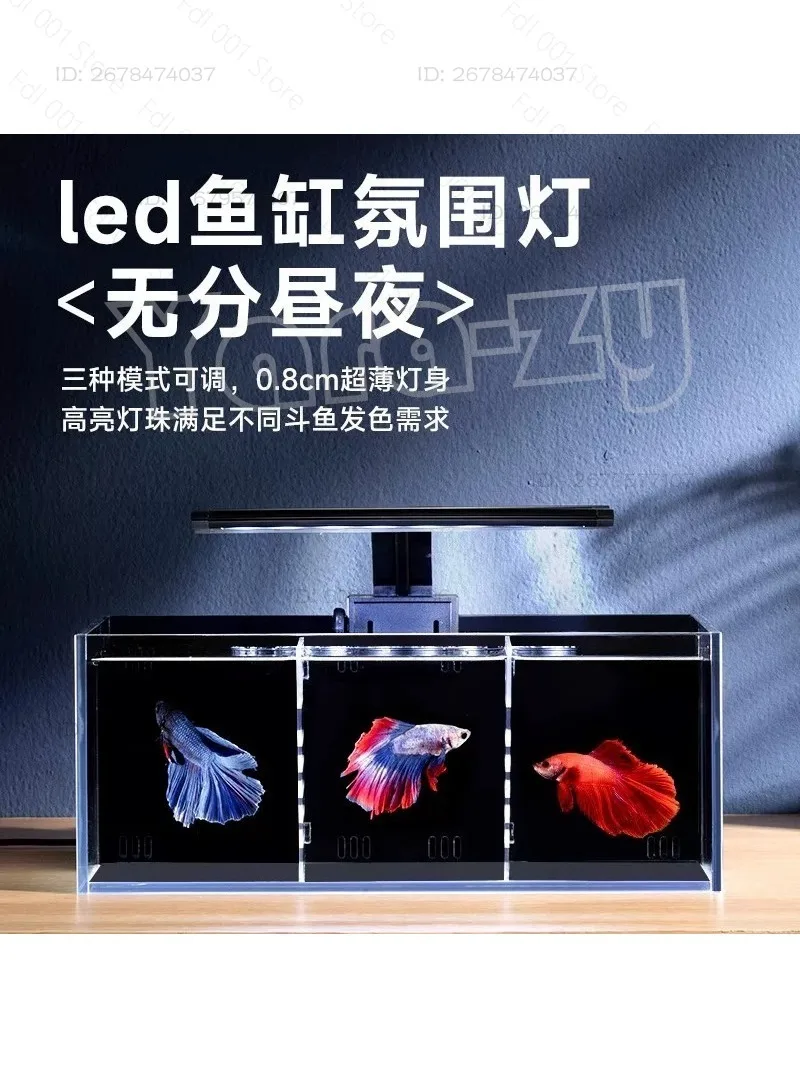 Back filter betta ultra-white tank glass multi-grid isolation water-free living room small ecological Thai betta tank