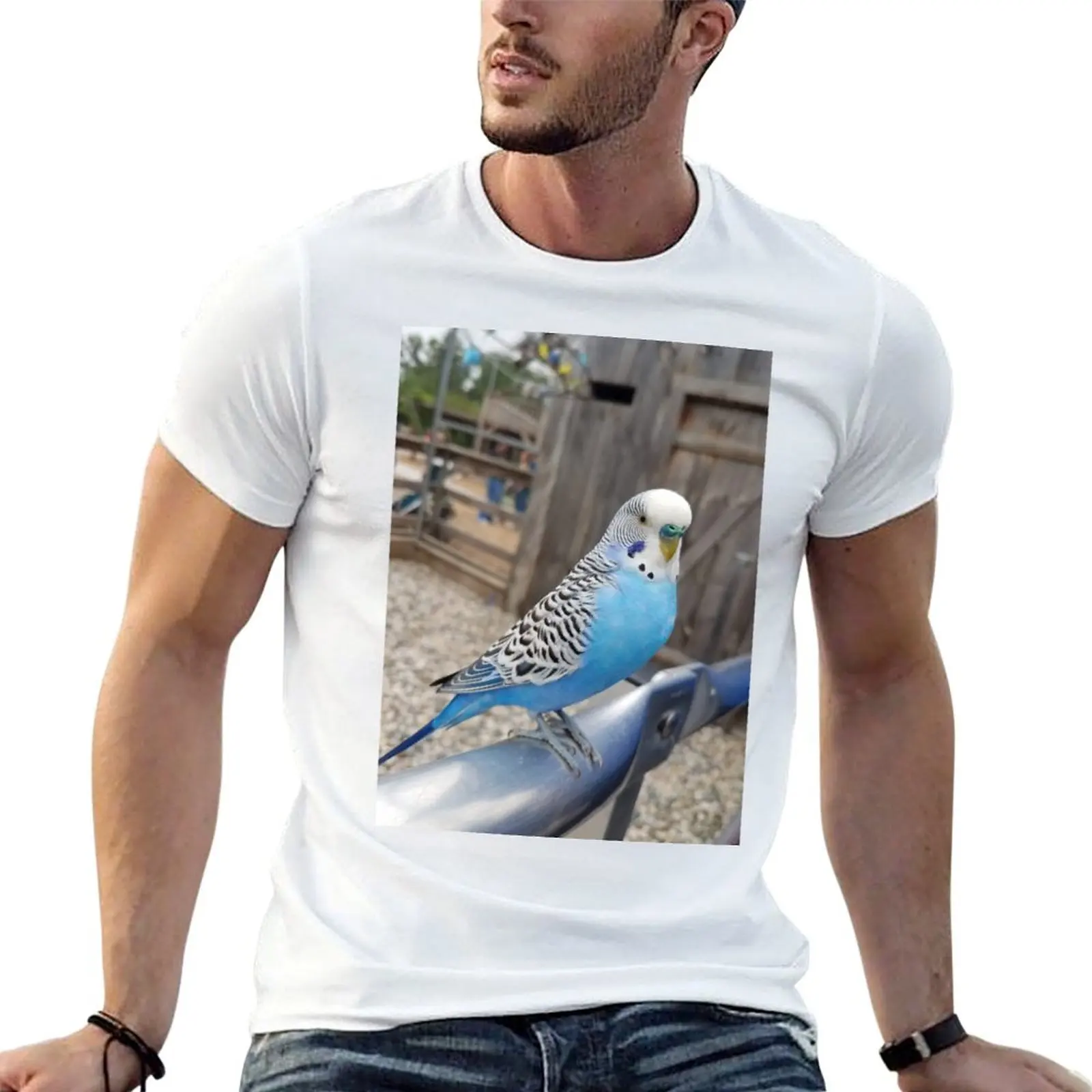 Blue & White Parakeet Sitting T-Shirt boys animal print sweat t shirts for men