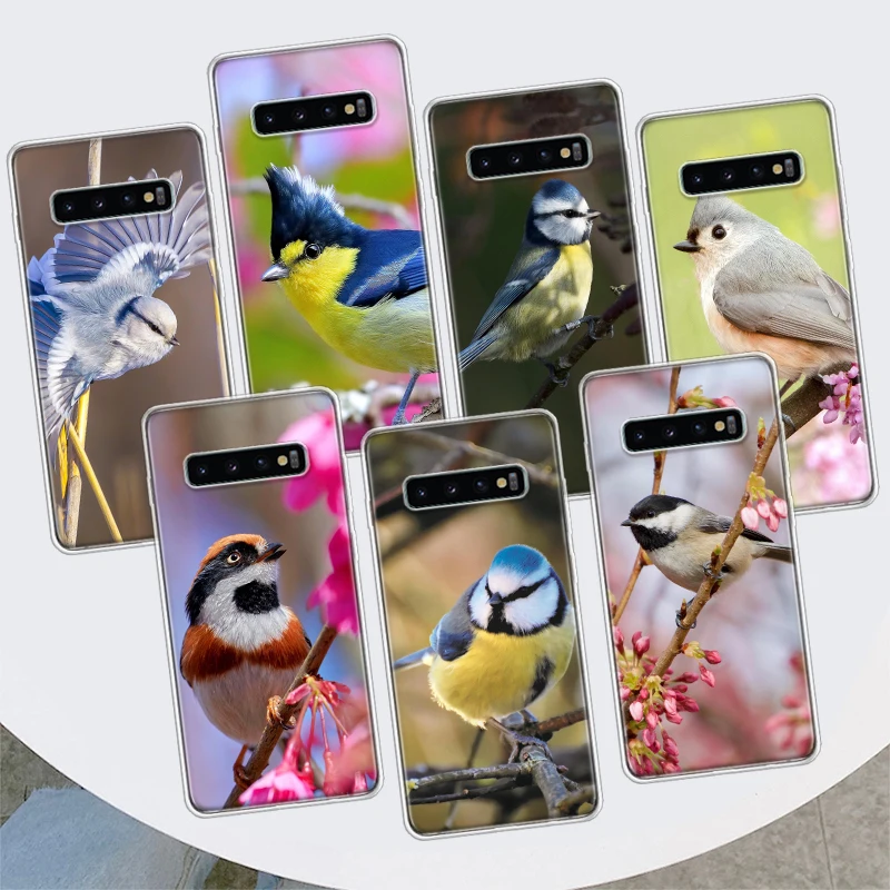 Magpie bird Phone Case For Samsung Galaxy M21 M12 M31S M32 M51 M52 Note 20 Ulte 10 Plus 9 8 J4 J6 + J8 M11 F52 F62