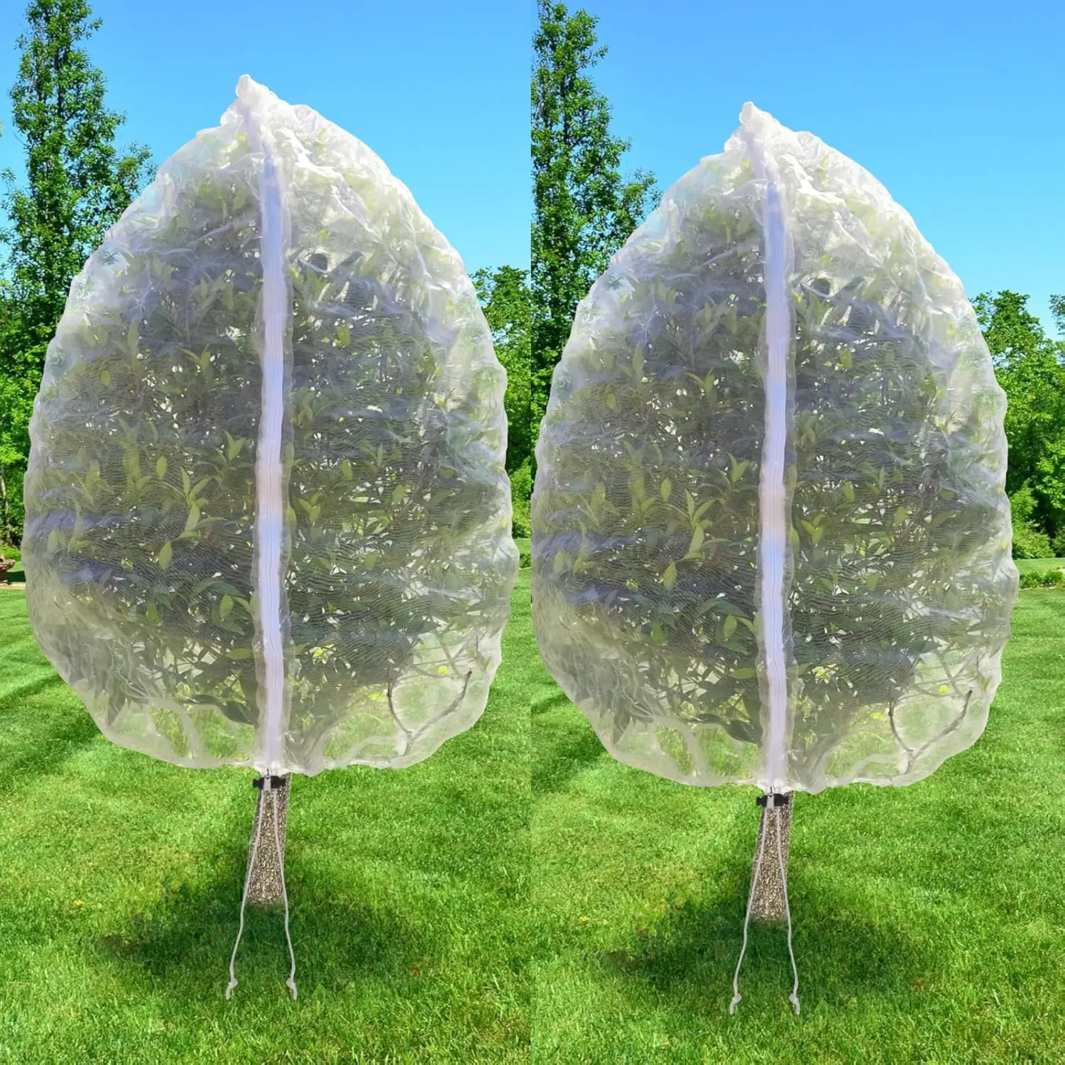 

Набор из 2-х больших сетчатых мешков для фруктовых деревьев (10x10 футов) с молнией и шнурком, защита от птиц для голубики и яблонь, для сада
