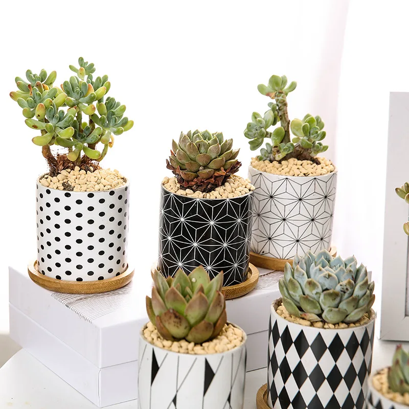 Modern Geometric Pattern Ceramic Flower Pot Succulent Plant Pot Planter Office Desktop Bonsai Home Garden Decoration