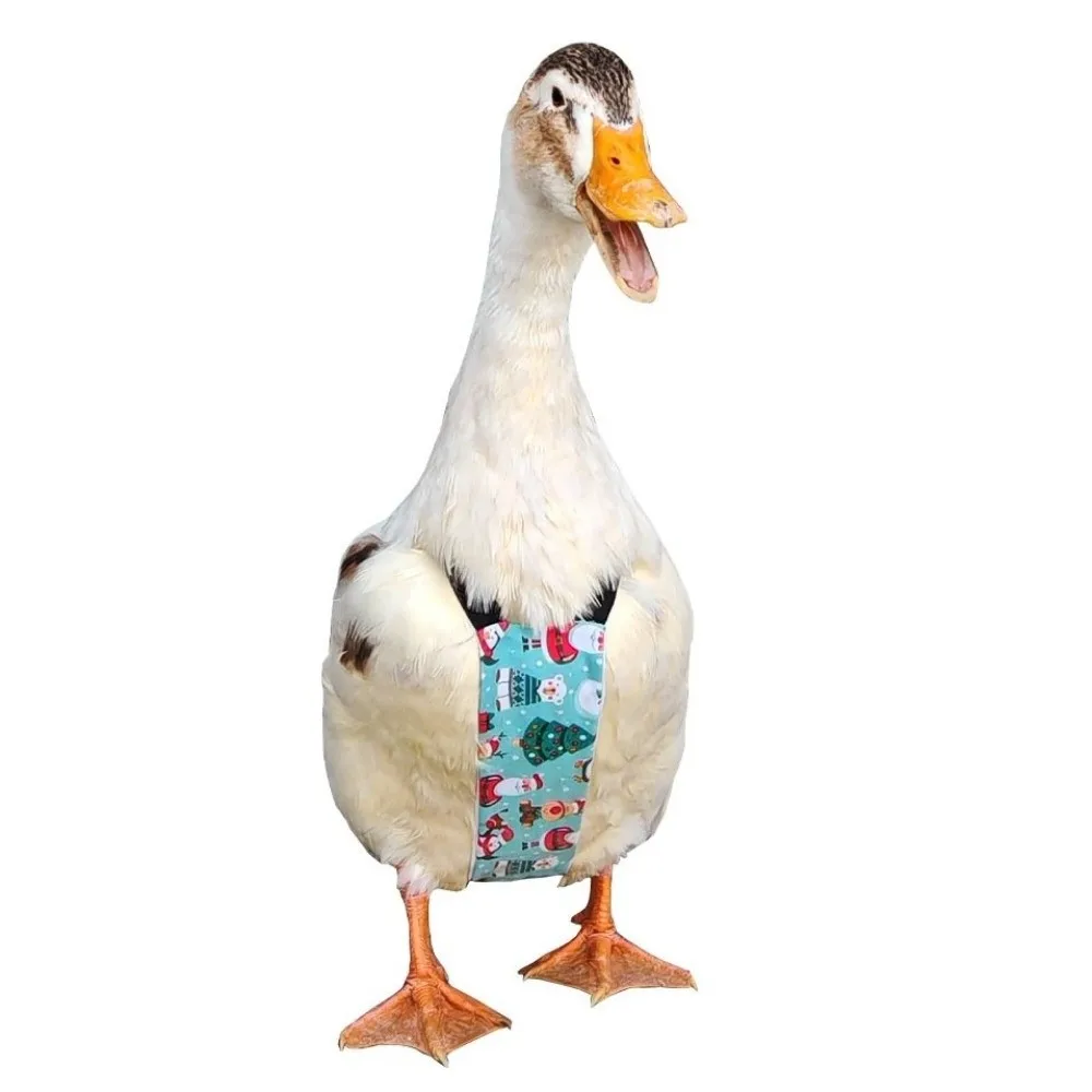 Adjustable Cartoon Pattern Duck Diaper Elastic Band Bow Knot Christmas Pet Diaper Breathable Washable Poultry Duck Diaper