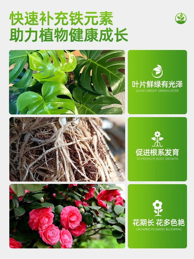 Ferrous sulfate acid-loving plant Milan/gardenia/camellia/rhododendron/osmanthus water-soluble fertilizer