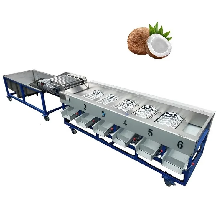 Hot Sale Coconut Jujube Sorting Machine Automatic Coconut Sorter Apple Fruit Grading Machine