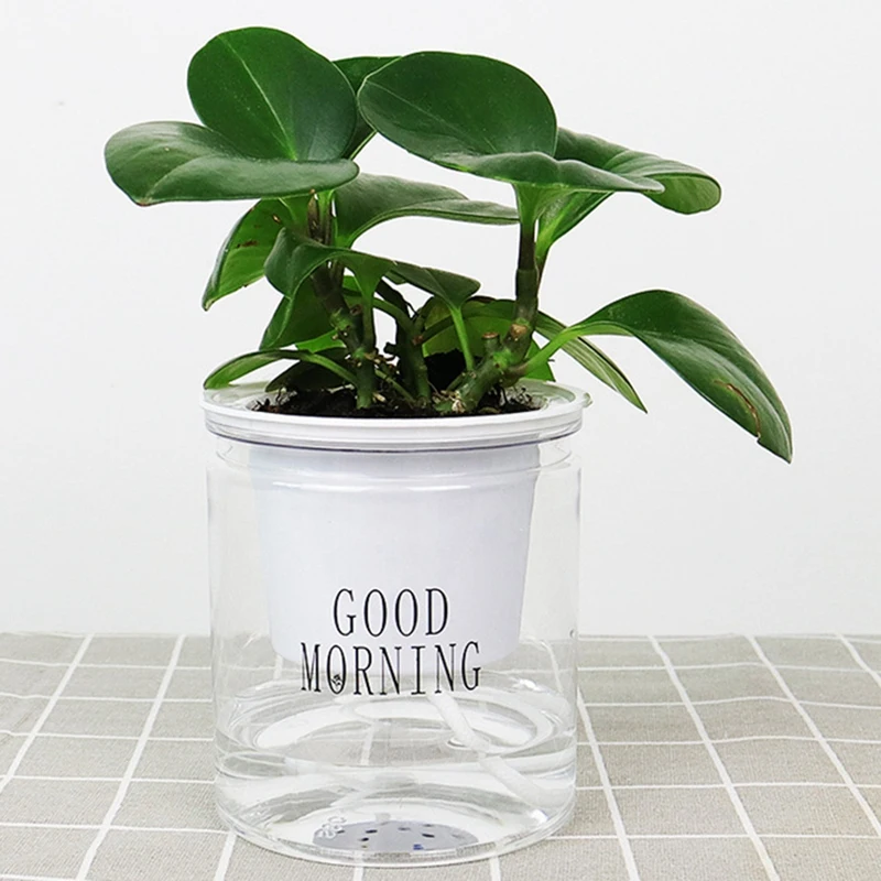 Self-Watering Flowerpot Automatic Water Absorption Succulent Aquaculture Transparent Round Plastic Hydroponic Flowerpot