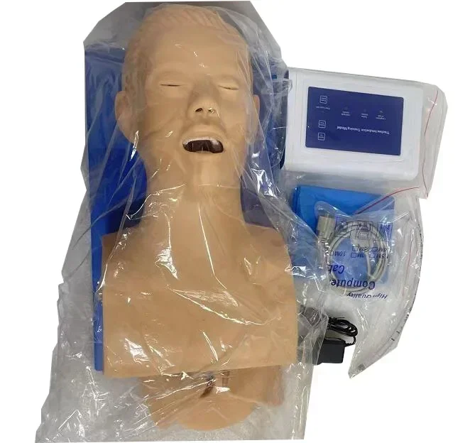 Intubation Manikin Study Teaching Model Airway Management Trainer PVC With Teeth