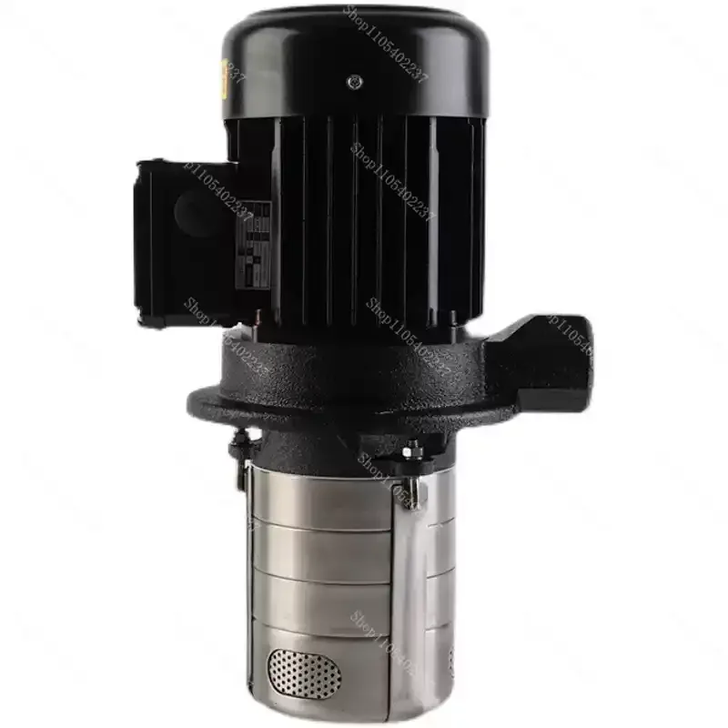 CH4V 30 TP 750W High Head Stainless Steel Multi Stage Centrifugal Vertical Water Pump