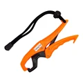 2(orange)