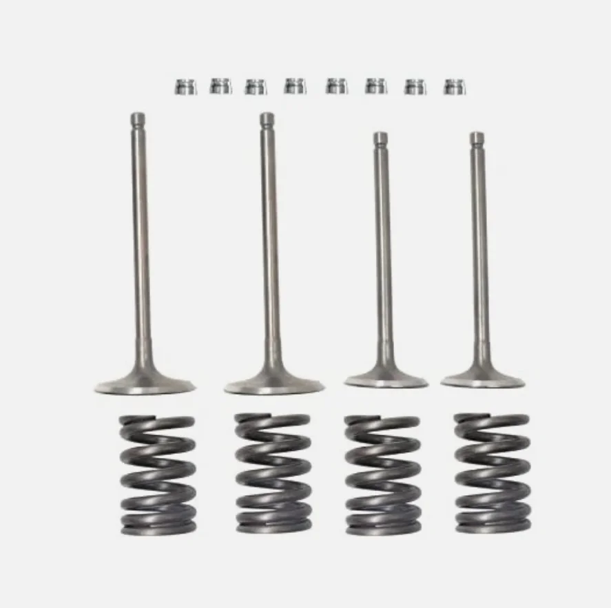 Cylinder Intake Exhaust Valve   ket Kit for    Raptor 700 YFM700R 2006-2014